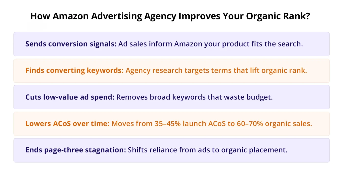 infographic showing How Amazon Advertising Agency Improves Your Organic Rank?
